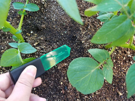 Simple Tips To Make the Best of Your Soil Moisture Sensor
