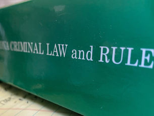 How Should I Plead? Know your options.