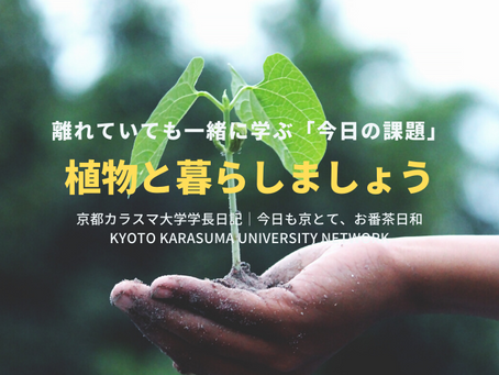 今日も京とて、お番茶日和|京都カラスマ大学学長日記(5/8)