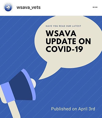 COVID-19: Update in Pets from WSAVA