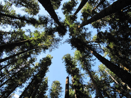 5 Keys to Spiritual Maturity