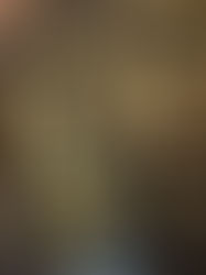 Nathalie Decoster takes over the Cour Bareuzai in Dijon