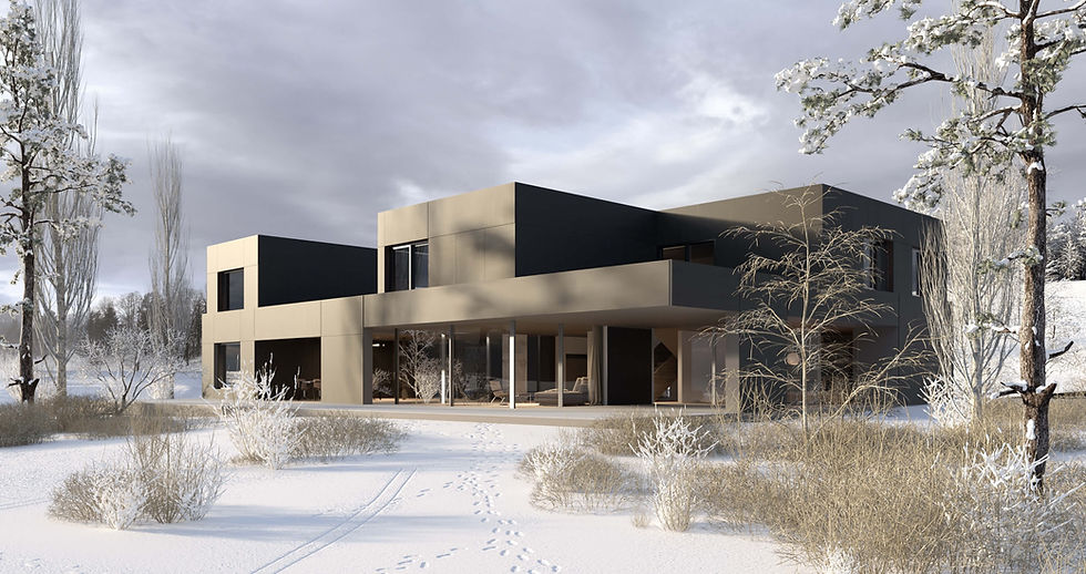 exterior visualization house snowy atmosphere