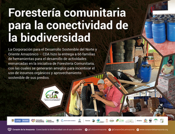 Forestería comunitaria para la conectividad de la biodiversidad.