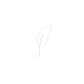 Vivid Media Company