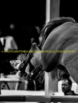 Matthieu Mirville-0228