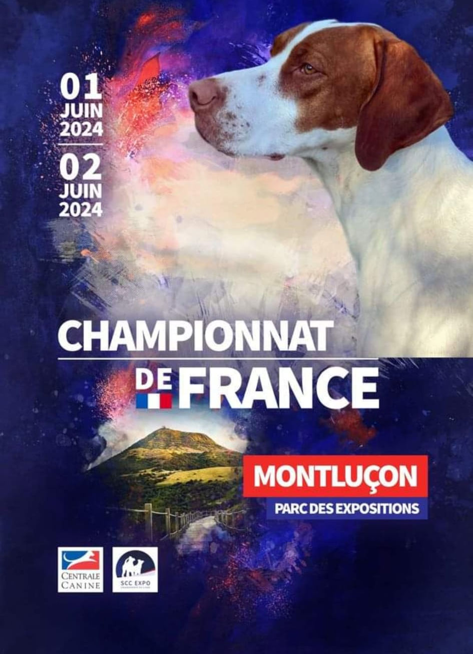 French Dog Show Championship 