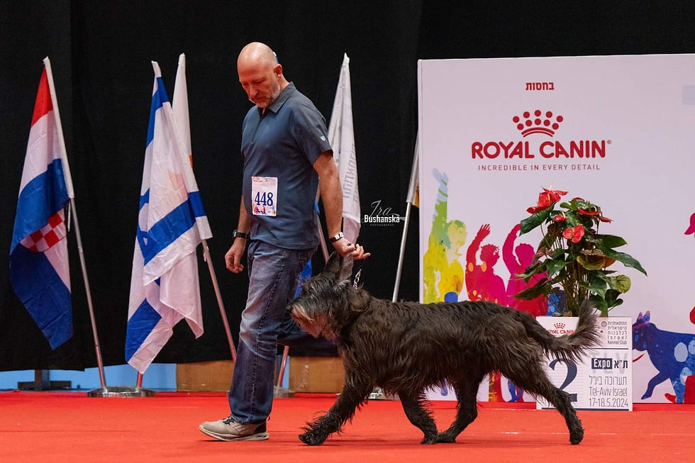 International Dog Show - Tel-Aviv Expo