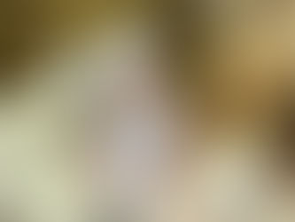 七五三 3歳&100日 (Daytime+ONE)