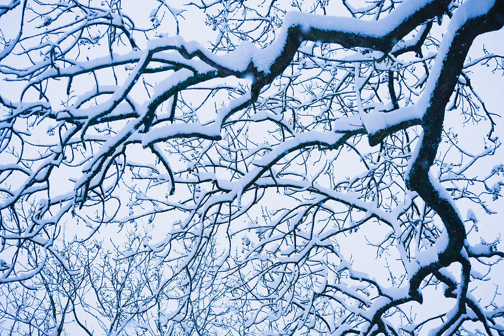 Electric Snow