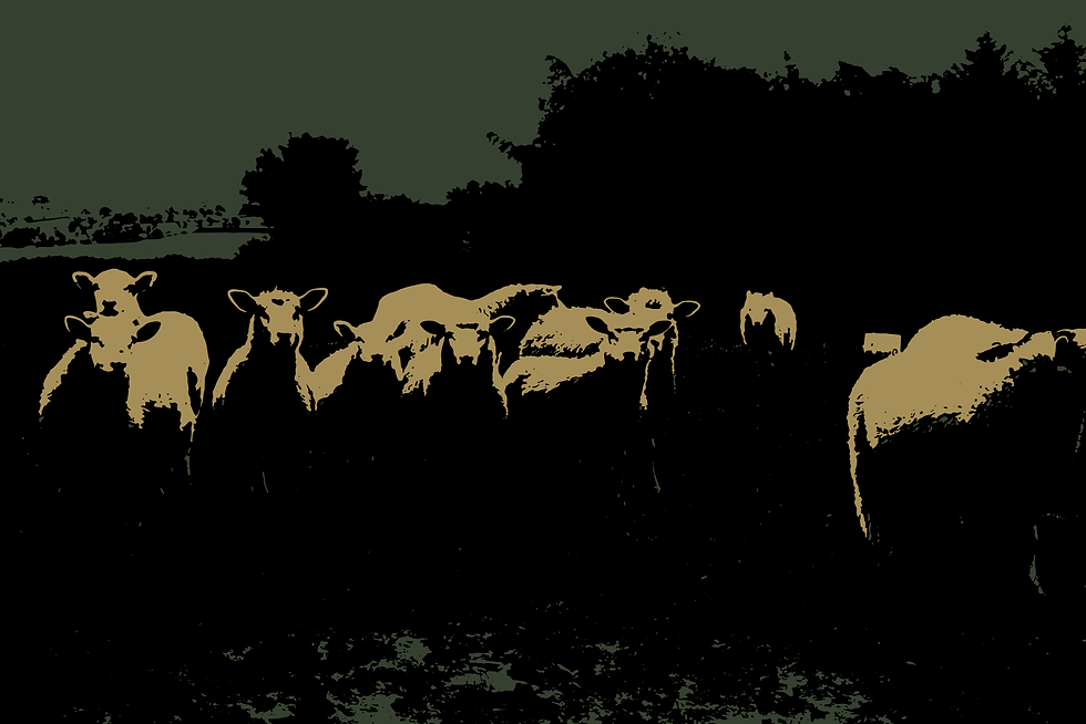 Farm Friends