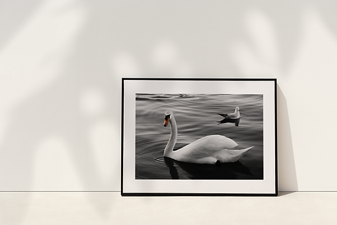 p-466-pa-0375-01-mockup.png