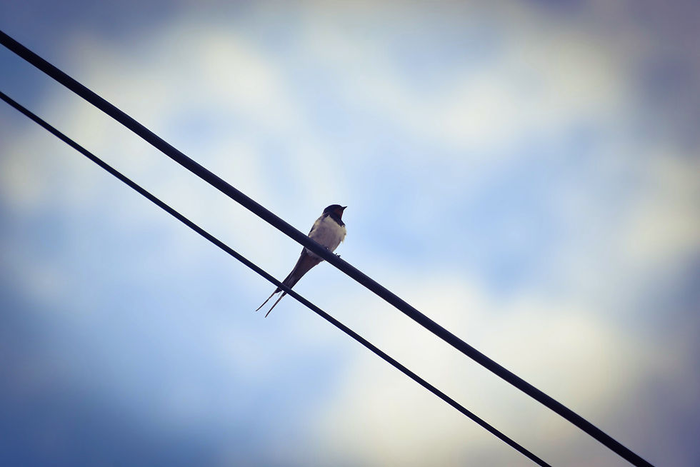 On Look Out