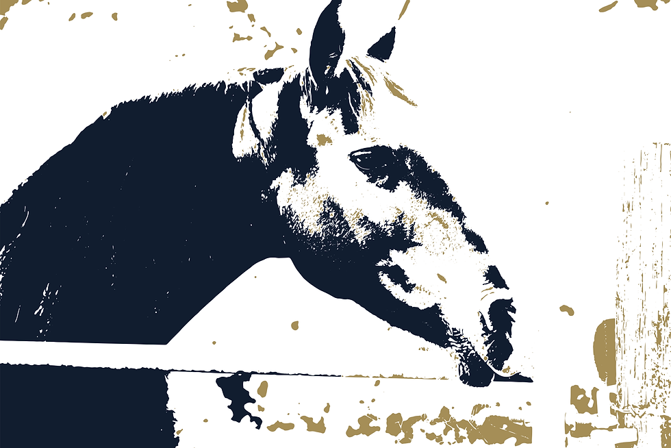 Farm Horse
