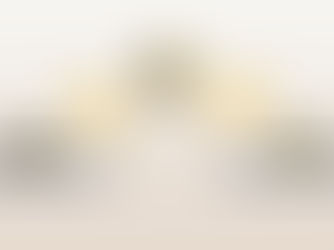 Die Rolle von Kryptowährungen in der Finanz-Inklusion: Chancen und Herausforderungen