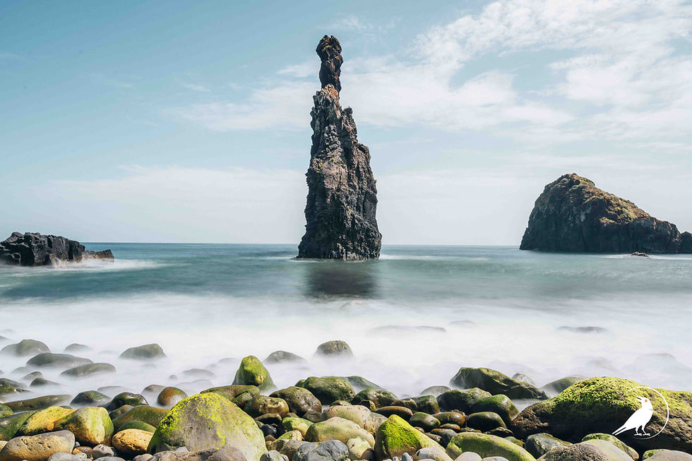 Tall sea stack rises from calm ocean beside a rocky islet, with mossy shoreline stones under a bright cloudy sky.