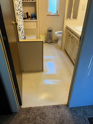 Debra bathroom before.jpg