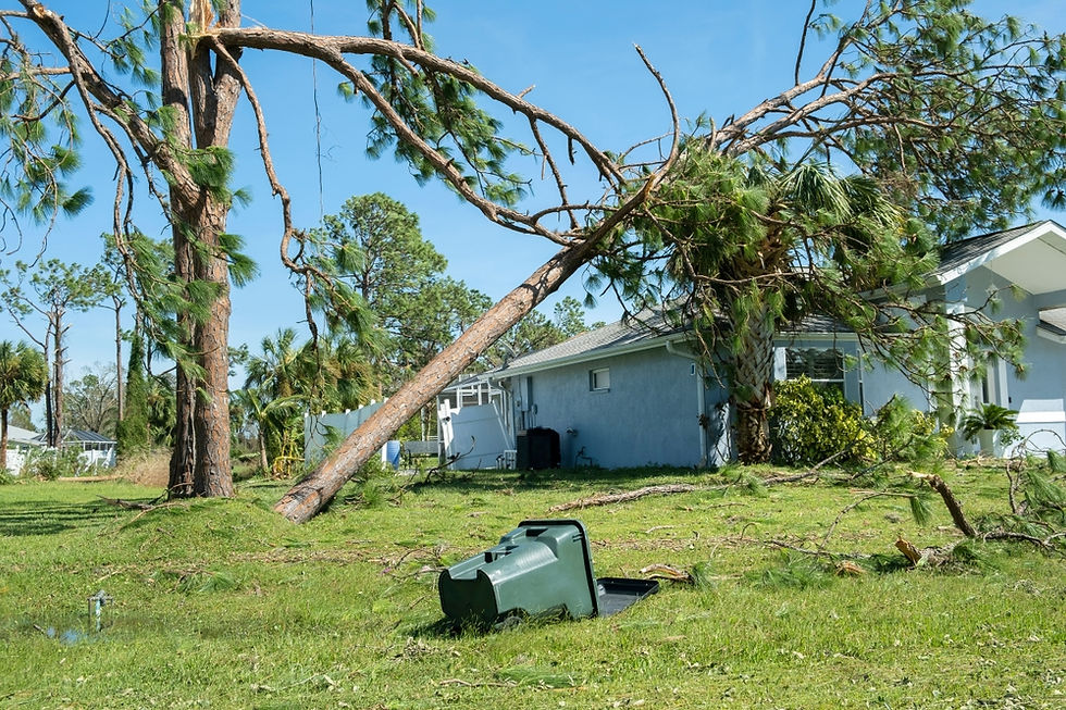Un gran árbol cayó sobre una casa en Florida tras una fuerte tormenta, causando daños visibles en el techo y la estructura. Los propietarios y los profesionales de seguros se preparan para la tasación documentando las pérdidas, inspeccionando las áreas dañadas y evaluando los costos de reparación y reemplazo relacionados con el árbol caído y los daños causados por la tormenta.