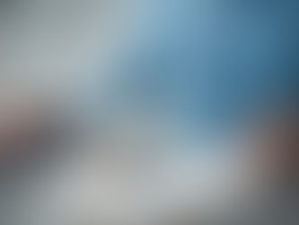 Insurance Appraiser for Allstate and the Appraisal Process