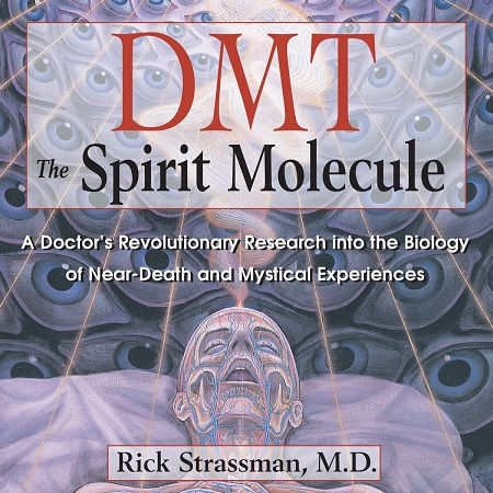 DMT: The Spirit molecule