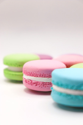 Macaron Cookie Magnet | Sleepy Eve Studio