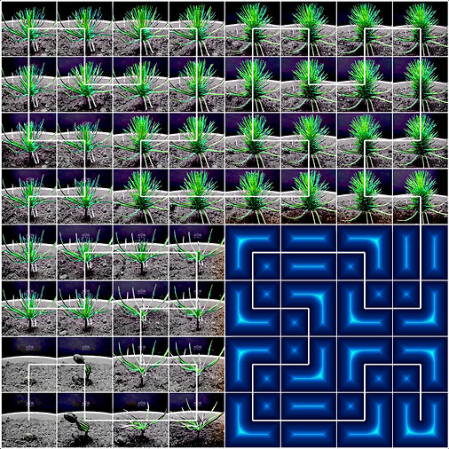 Screenshot (1692)3_edited.jpg