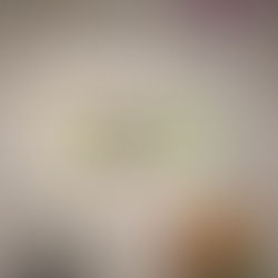 The Nationalist, January 17 2019