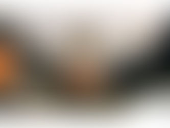 Sustainability Report Dec/2025