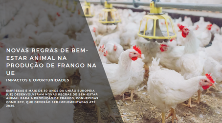 New Animal Welfare Rules in EU Chicken Production: Impacts and Opportunities