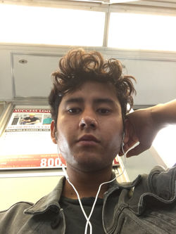 Hair Shape