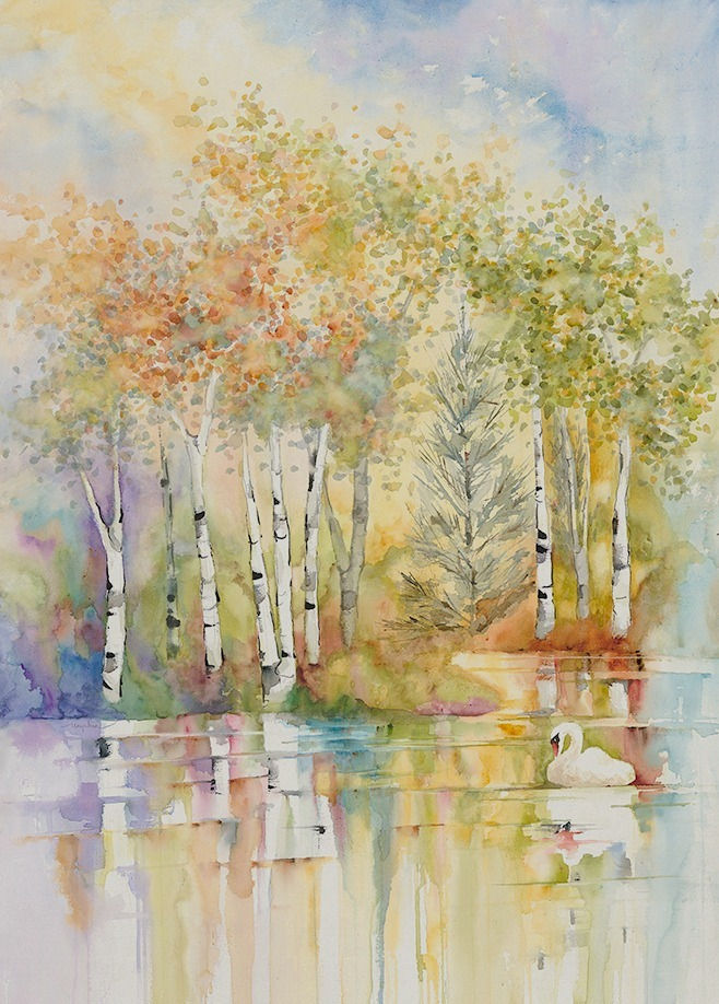 Birch tree landscape with water reflection as a swan glides by. Giclee print of watercolor by Kate Moynihan artist, $150