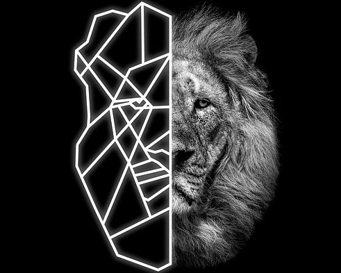 Lion portrait as a drawing.jpg