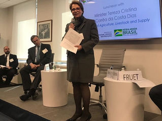 Em Nova York, ministra da agricultura fala sobre cota anual para compra de trigo e exportação de car