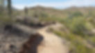 web 20160428_092059.jpg