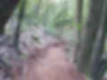 web 20200229_092013.jpg