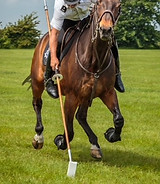 thumbnail_IMG_0638.jpg