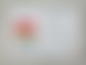 札幌市ワーク・ライフ・バランスplus企業認証を頂きました!