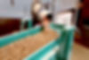 shutterstock_738820909 copy.jpg