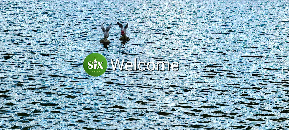 270575231_1627899470886618_3708259520815928793_n