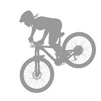Ladies AllRide logo