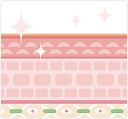 Skin structure 2.png