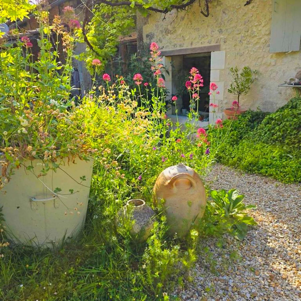 The Walnut Garden