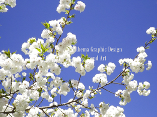 branch water marked.png