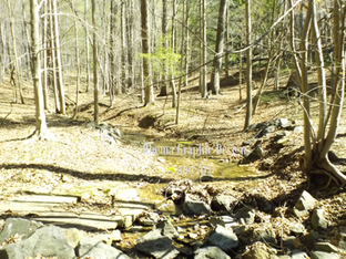 creek watermarked.png