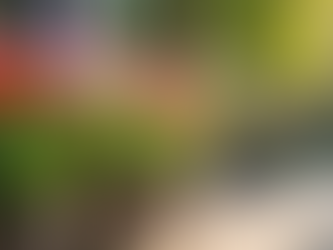 Spring Gardening Tips: How to Plant in Planters for a Vibrant Outdoor Space