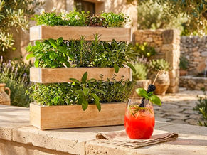 The Living Pantry: Scaling Your Sanctuary from Seed to Sip