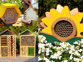 Bee hotels are the cutest way to help pollinators in your small garden! Learn how to choose, place, and maintain a bee hotel — and discover the best plants to pair with it for a buzzing, beautiful space.