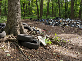 Why Proper Waste Disposal Matters More Than Ever