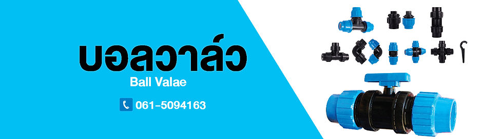 บอลวาล์ว.jpg