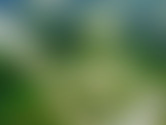 Road America and VIR are Next